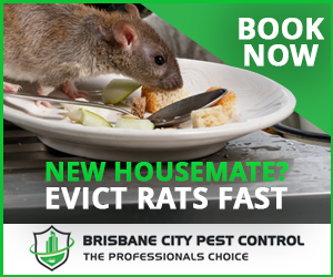 Brisbane City Pest Control