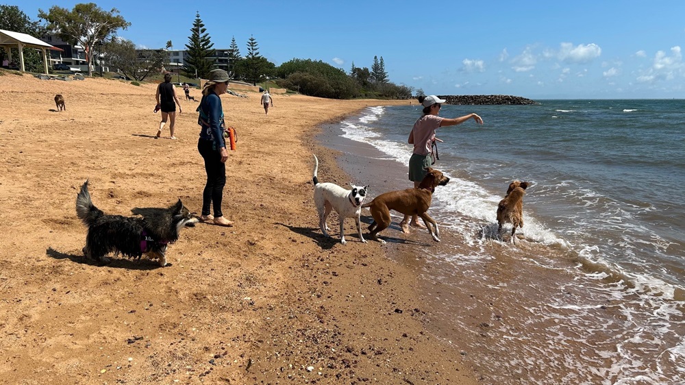 Queens Beach (North)