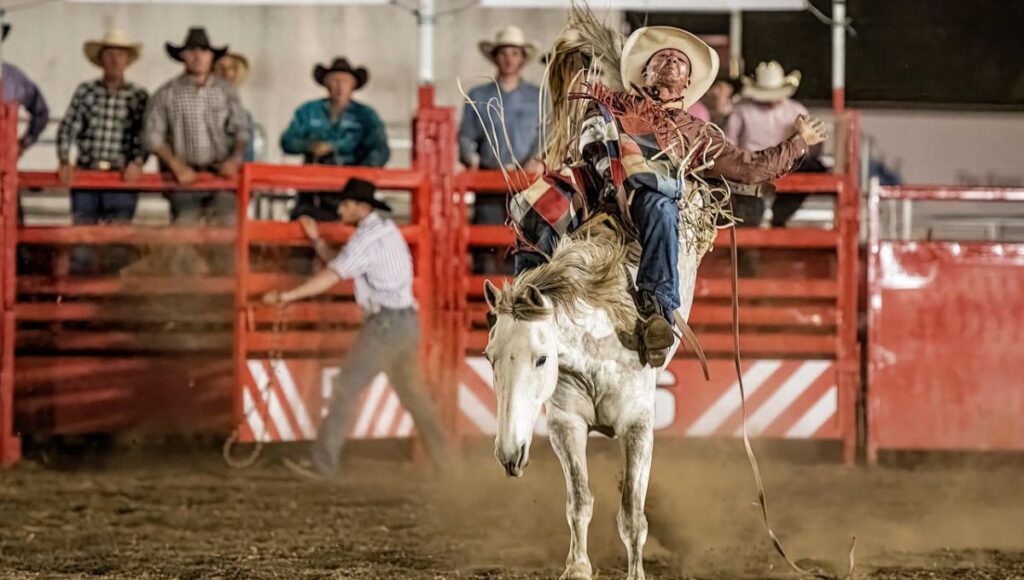 Bay Area Rodeo Saddle Up! Moreton Bay Rodeo Is Coming To Town